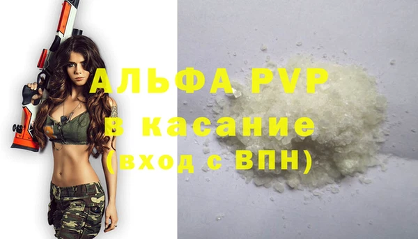 гашик Зерноград