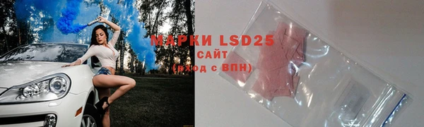 гашик Зерноград