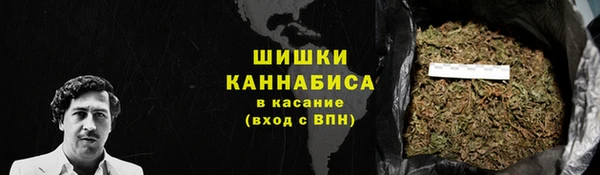СК Зеленодольск