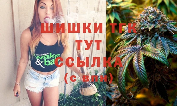 СК Зеленодольск