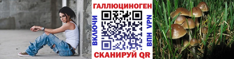 продажа наркотиков  Кедровый  omg ТОР  Псилоцибиновые грибы Psilocybine cubensis 